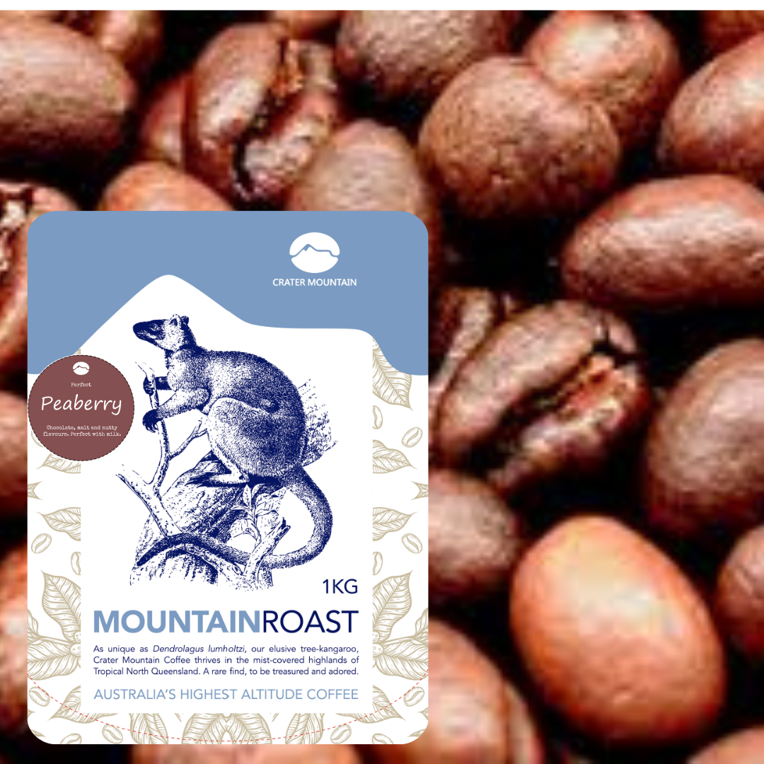 Peaberry coffee beans from Crater Mountain Coffee